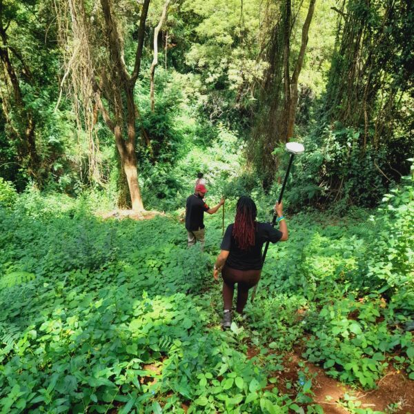 79237cc4-2d8f-431d-96bf-7bd3f6a3f1be